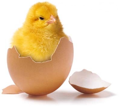 Świąteczne dni wolne