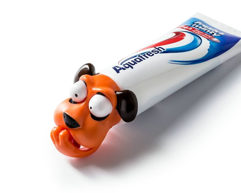 Toothpaste cap DOG Dog All products Gadget Master Original